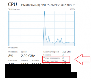 Virtual machine CPU